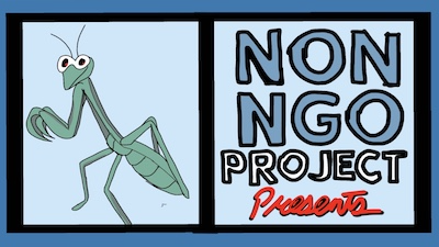 Non NGO Project